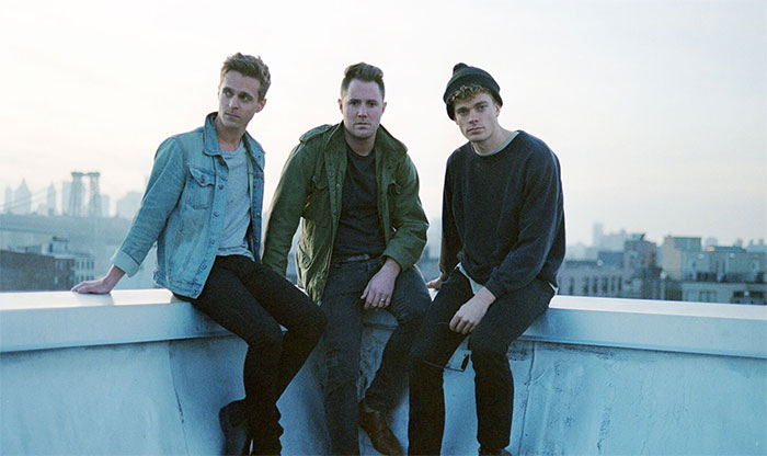 Wild Cub